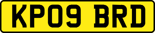 KP09BRD