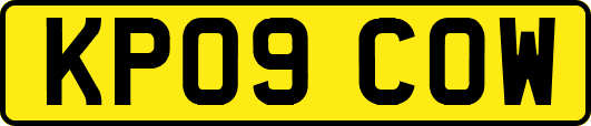KP09COW