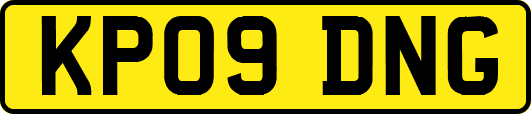 KP09DNG