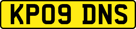 KP09DNS