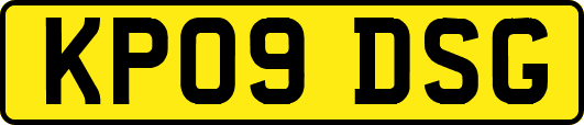 KP09DSG