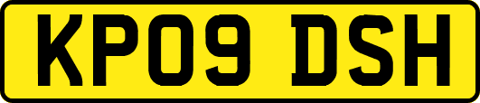 KP09DSH