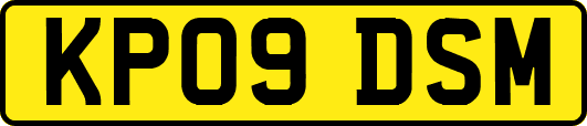 KP09DSM