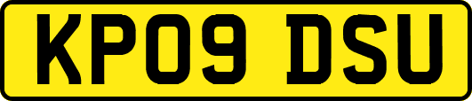 KP09DSU