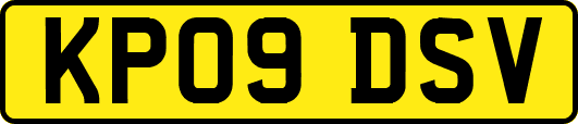KP09DSV