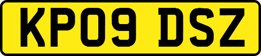 KP09DSZ