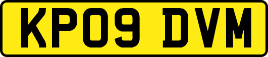 KP09DVM