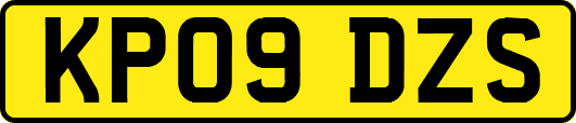 KP09DZS