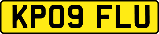 KP09FLU