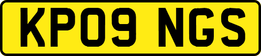 KP09NGS