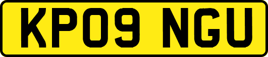 KP09NGU