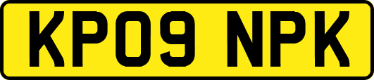 KP09NPK