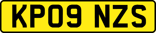 KP09NZS