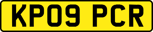 KP09PCR