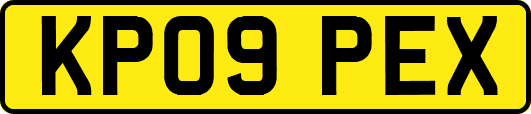 KP09PEX