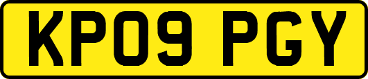KP09PGY