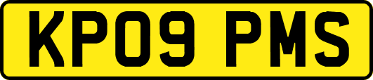 KP09PMS