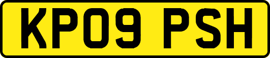 KP09PSH