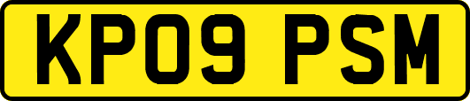 KP09PSM