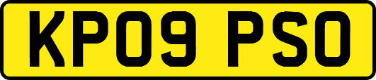 KP09PSO