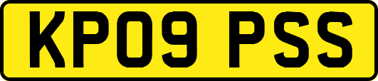 KP09PSS