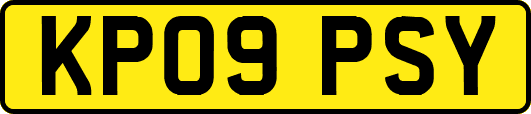 KP09PSY