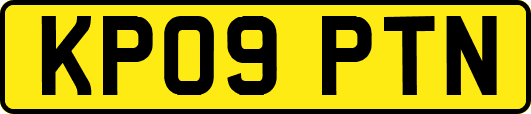 KP09PTN