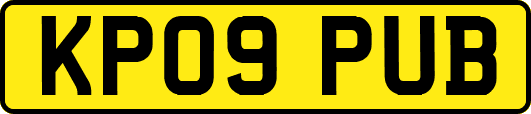 KP09PUB