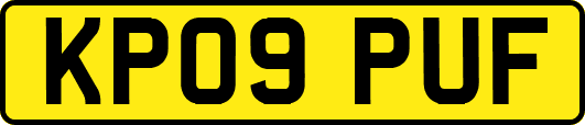KP09PUF