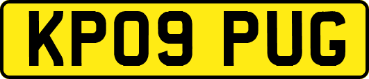 KP09PUG