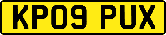 KP09PUX
