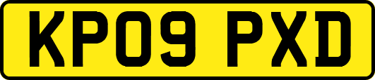 KP09PXD