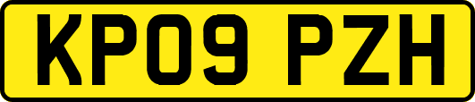 KP09PZH
