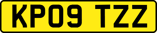 KP09TZZ