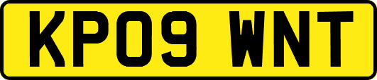 KP09WNT
