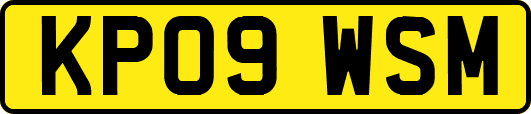 KP09WSM