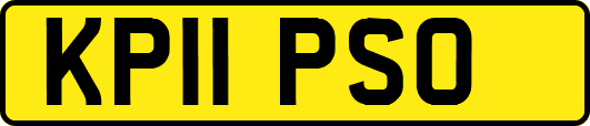 KP11PSO