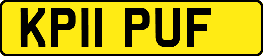 KP11PUF