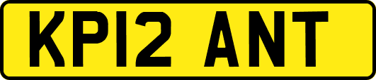 KP12ANT