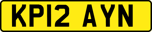 KP12AYN