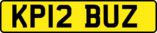 KP12BUZ