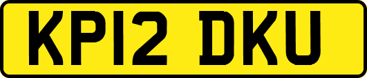 KP12DKU