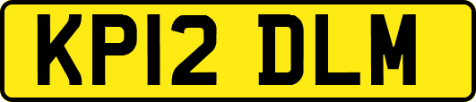 KP12DLM