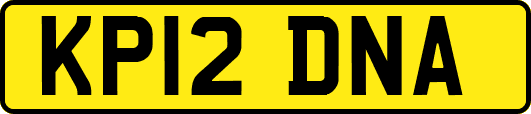 KP12DNA