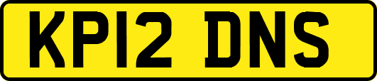 KP12DNS