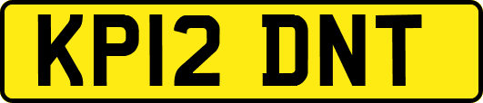 KP12DNT