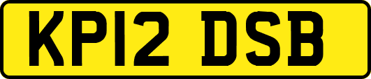 KP12DSB