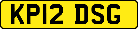 KP12DSG
