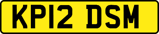 KP12DSM