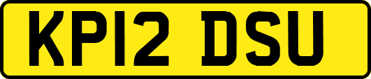 KP12DSU